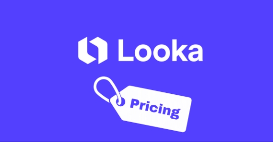 looka premium logo package