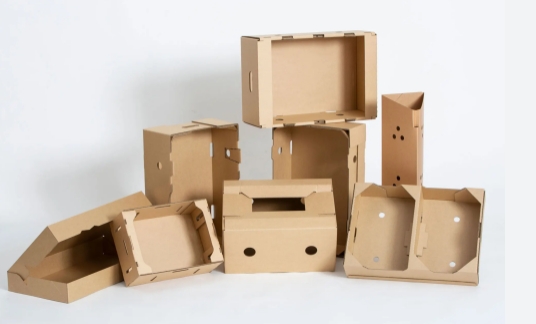 carton box packaging design