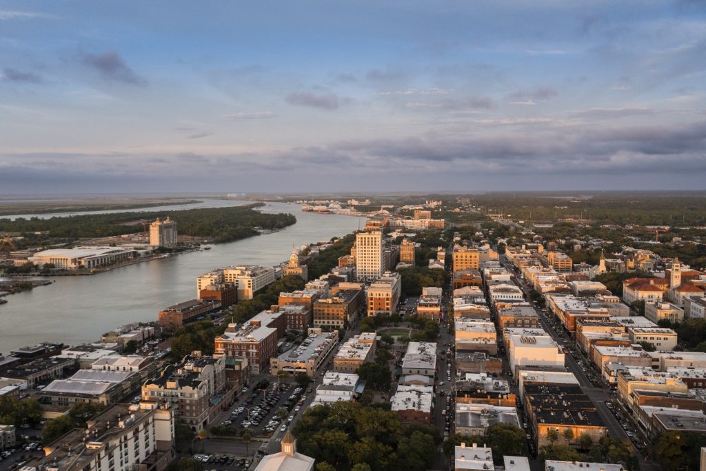 design savannah