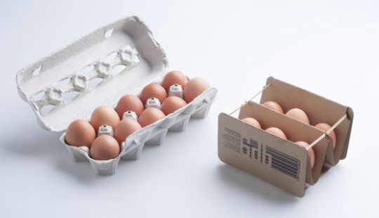 egg carton design